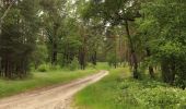 Percorso A piedi Märkische Heide - Wanderweg Alt Schadow-Pretschen - Photo 8