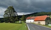 Percorso A piedi Pöllau - Wanderweg 2 - Photo 2