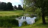 Tocht Stappen Villers-la-Ville - #190324 - Rigenée, rives de la Thyle, château du Châtelet et golf**** - Photo 7