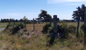 Tour Wandern Peyre en Aubrac - le rocher du Cher - Photo 11