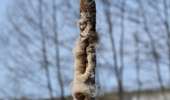 Tour Wandern Welkenrath - 20220411 - Grunhaut 7 Km - Photo 19