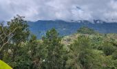 Tocht Stappen Salazie - tour du piton maillot - rivière du mat - Photo 4