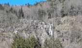 Trail Walking Sewen - Lac d'Alfed et sa cascade - tour au pied du Ballon d'Alsace - Photo 4