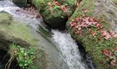 Randonnée Marche Berdorf - Entre Luxembourg et Allemagne  - Photo 9