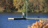 Tour Zu Fuß Malente - Dieksee-Rundweg - Photo 10