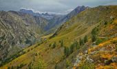 Trail Walking Orcières - Roc d’Alibrandes - Photo 6