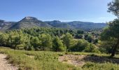 Excursión Ruta Cheval-Blanc - Mayorques-Pradon-Tête ds Buisses-16082023 - Photo 2