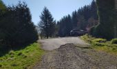 Percorso Mountainbike Libin - Haute Lesse partie 1 - Photo 18