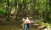 Tour Wandern Saou - foret saou - Photo 4