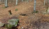 Tocht Stappen Le Hohwald - Le Hohwald Source et Cascade - Photo 6