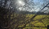 Trail Walking Rochefort - adeps rochefort  - Photo 4