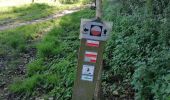 Trail Walking Tielt - GR128. Tielt-Deinze - Photo 10