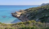 Excursión Senderismo Ramatuelle - l'Escalet Cap Taillat - Photo 11