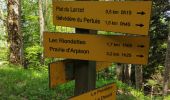 Trail Walking Saint-Laurent-du-Pont - Rocher de Pertuis  - Photo 5
