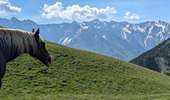 Trail Horseback riding La Morte - 2025-06-01 Rando CVA La Morte vers Pierre-Châtel - Photo 3