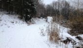 Tour Zu Fuß Engelskirchen - Loope Rundweg A2 - Photo 7