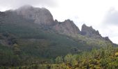 Trail Walking Saint-Raphaël - Pic du Cap Roux par Pic de l'Escale - Photo 13