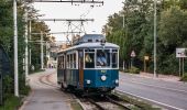 Percorso A piedi Trieste - Sentiero Nicolò Cobolli - Photo 10