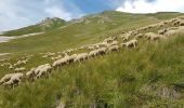 Trail Walking Valloire - 73 - VALLOIRE  - Photo 1