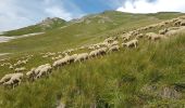 Tour Wandern Valloire - 73 - VALLOIRE  - Photo 1