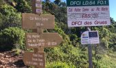 Tour Wandern Saint-Raphaël - Les grues et le pic de l'ours depuis la gare du Trayas - Photo 6