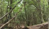 Tocht Stappen Orcines - Montée au Puy de Dôme et temple de Mercure  - Photo 2