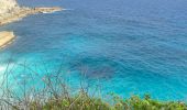 Trail Trail Port-Louis - Anse Bertrand massious porte d’enfer - Photo 10