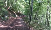 Trail Walking Salles - SALLES Le col d'Andorre avec nos voisins pierrefittois - Photo 4