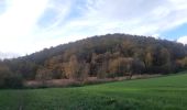 Trail Walking Liège - les 4 terrils - Photo 5