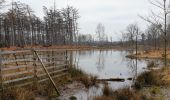 Trail Walking Maldegem - Drongengoedbos - Photo 6
