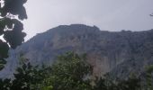 Trail Walking La Palud-sur-Verdon - sentier blanc Martel depuis Chalet les Malines - Photo 6