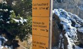 Trail  Die - Val croissant comptoir des moutons - Photo 10