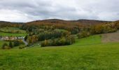 Tour Zu Fuß Fischbachtal - Verbindungsweg 