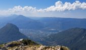 Tocht Stappen Sarcenas - la Pinéa du col de Portes - Photo 2