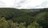 Tour Wandern Hohenfels - Nisramont  + Herou - Photo 9