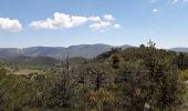 Excursión Senderismo La Bastide - La Bastide Bargème  - Photo 1