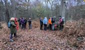 Randonnée Marche Fontainebleau - maison forestière Bois le roi 1er décembre 2023 - Photo 5