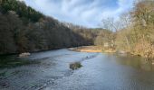 Trail Walking Bouillon - Corbion - pont de l’Epinet - Photo 12