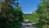 Trail Walking Espeluche - 2022-10-20_15h14m37_GPX-Bois-Jamot-Espeluche - Photo 2