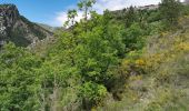 Tour Wandern La Croix-sur-Roudoule - La Croix sur Roudoule - Photo 1