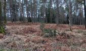 Trail Walking Aywaille - sedoz - vert-buisson (via ninglinspo) - porallée - vieux chera - sedoz - Photo 14