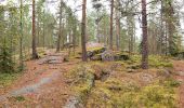 Trail On foot Jyväskylä - Sippulanniemen luontopolku - Photo 7