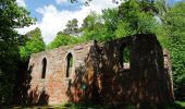 Percorso A piedi Bürgstadt - Rundwanderweg Bürgstadt Stutz L: Geopark-Kulturpfad - Photo 3