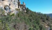 Excursión Senderismo Le Rozier - Les corniches des gorges de la Jonte et du Tarn - Photo 3