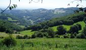 Excursión A pie Pollionnay - Col De La Luère - L'Arbresle - Ste Concorce - Photo 1