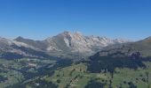 Tour Wandern La Clusaz - ARAVIS: TETE DU DANAY via Mortenay et Pézerette - Photo 9