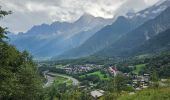 Tour Wandern Les Houches - J3 - Les Chavants - Chamonix Centre - Photo 19