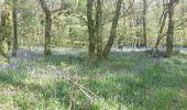 Trail Walking Brandivy - PR_56_Brandivy_AA_01_Etang-De-La-Foret_Circuit1b_20240417 - Photo 3
