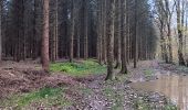 Randonnée Marche Aywaille - de Tlff à Sur le Tige -  autour du bois de Warnoumont - Photo 16