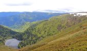 Trail Walking La Bresse - Les 5 lacs autour du Hohneck - Photo 2